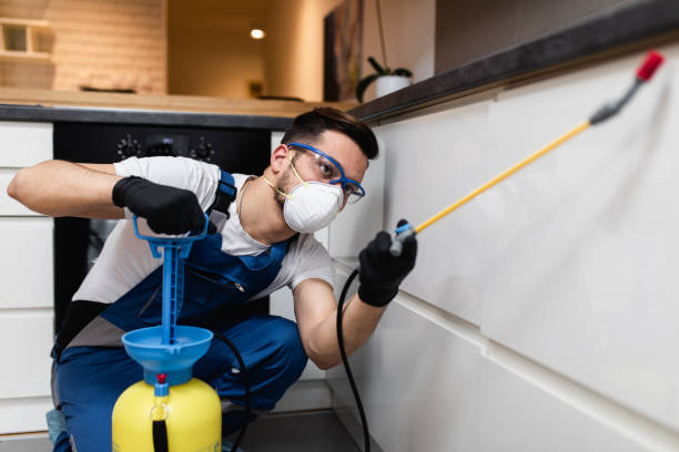Best Exterminator Services  in Bay City, TX