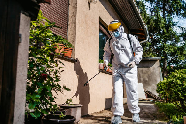 Best Wasp Removal Services  in Bay City, TX