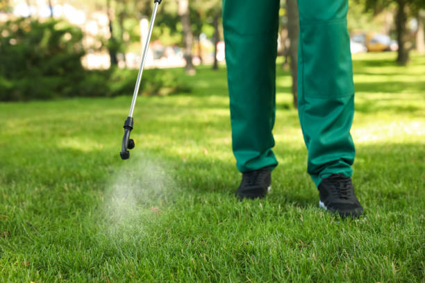Best Local Pest Control Services  in Bay City, TX