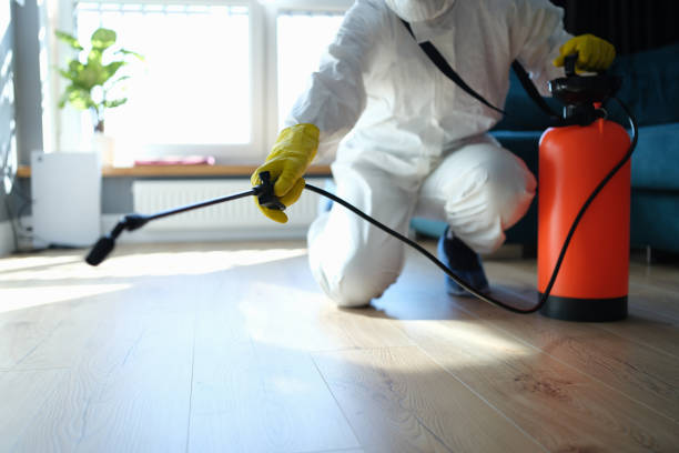 Reliable Bay City, TX Pest Control Solutions