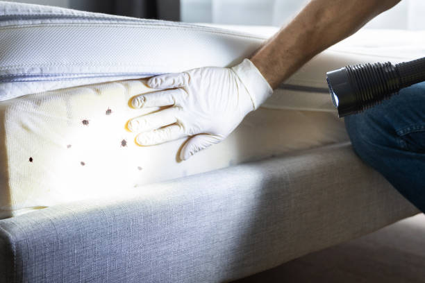 Best Commercial Pest Control Services  in Bay City, TX
