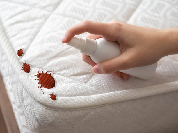 Best Best Pest Control Companies  in Bay City, TX