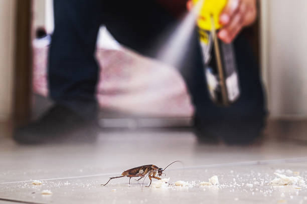 Wildlife Control Services in Bay City, TX