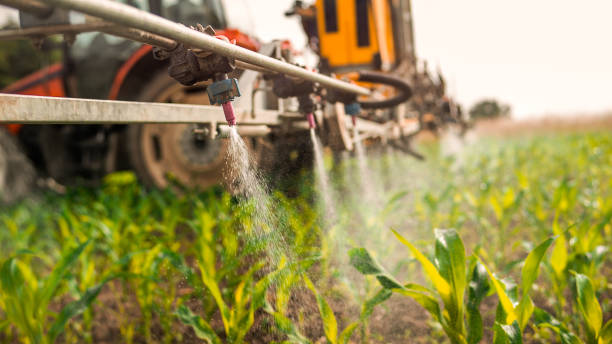 Best Mosquito Control Services  in Bay City, TX